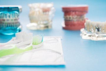 orthodontic model and dentist tool - demonstration teeth model of varities of orthodontic bracket or brace
