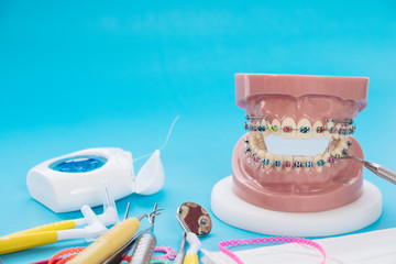 orthodontic model and dentist tool - demonstration teeth model of varities of orthodontic bracket or brace