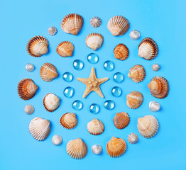 Pattern of seashells, starfish, and blue glass beads on a light blue background.