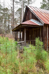 Old Wooden Log Cabin Farmhouse and Farmstead