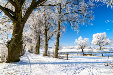 Landschaft in Masuren im Winter