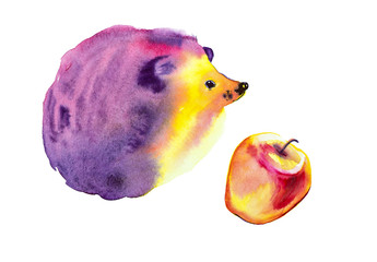 Multicolor hedgehog sits and looks at the colorful apple. Watercolor illustration isolated on white © Marina