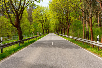 Neu gebaute EU-Straße im Frühling ohne Verkehr, Freie Fahrt, Baumallee, Laubwald, leere Strasse,...
