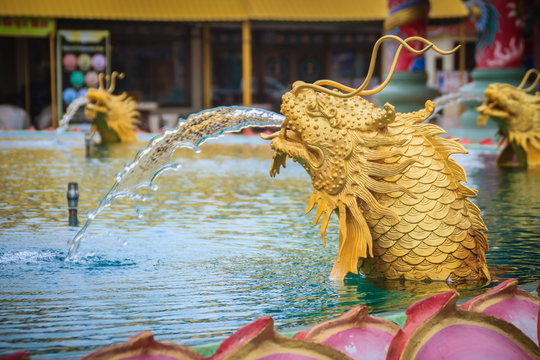 Statue of Chinese dragon fish spraying the water at the fountain in Chinese temple