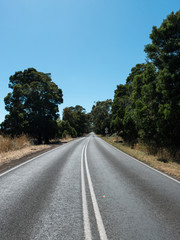 Fototapeta premium Empty road with trees on both side.
