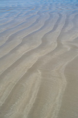Fototapeta na wymiar Wet Ripples in the Sand: Abstract Patterns and Shapes