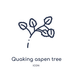 quaking aspen tree icon from nature outline collection. Thin line quaking aspen tree icon isolated on white background.
