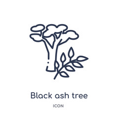 black ash tree icon from nature outline collection. Thin line black ash tree icon isolated on white background.
