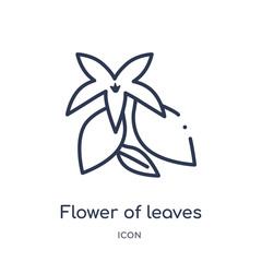 flower of leaves icon from nature outline collection. Thin line flower of leaves icon isolated on white background.