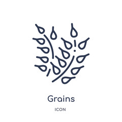grains icon from nature outline collection. Thin line grains icon isolated on white background.