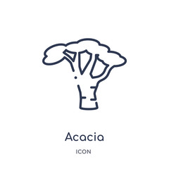 acacia icon from nature outline collection. Thin line acacia icon isolated on white background.