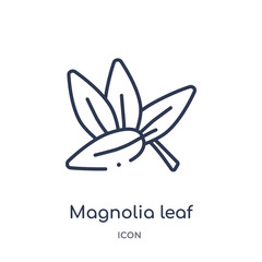 magnolia leaf icon from nature outline collection. Thin line magnolia leaf icon isolated on white background.