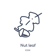 nut leaf icon from nature outline collection. Thin line nut leaf icon isolated on white background.