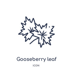 gooseberry leaf icon from nature outline collection. Thin line gooseberry leaf icon isolated on white background.