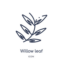 willow leaf icon from nature outline collection. Thin line willow leaf icon isolated on white background.