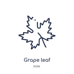 grape leaf icon from nature outline collection. Thin line grape leaf icon isolated on white background.