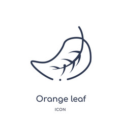 orange leaf icon from nature outline collection. Thin line orange leaf icon isolated on white background.