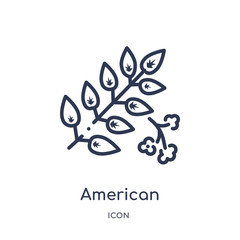 american mountain ash icon from nature outline collection. Thin line american mountain ash icon isolated on white background.