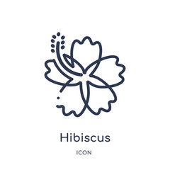 hibiscus icon from nature outline collection. Thin line hibiscus icon isolated on white background. © Meth Mehr