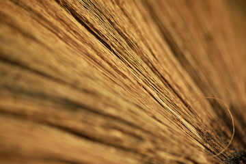 Close Up of thai grass broom background,.Texture of the bamboo grass