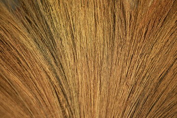 Naklejka premium Close Up of thai grass broom background,.Texture of the bamboo grass