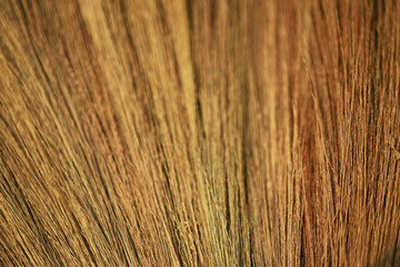 Close Up of thai grass broom background,.Texture of the bamboo grass