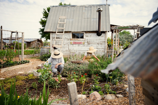 Two women working in a country garden wearing hats
