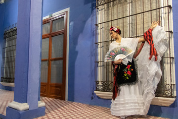 beautiful jarocha and his typical costume