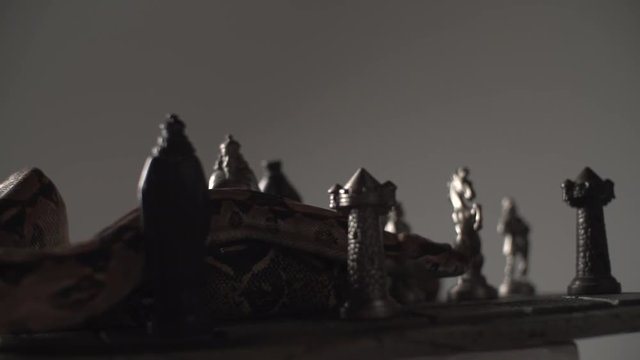 close up of old iron chess board with a snake. Studio super slow motion