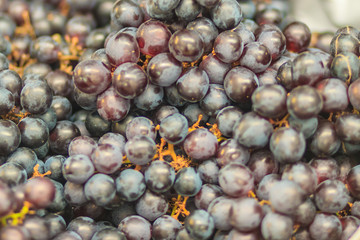 Black organic seedless grapes for sale at the fruit market. Bunch of black Corinth grape fruit background.