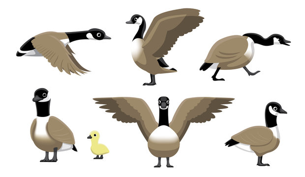 Cartoon Goose Images – Browse 24,941 Stock Photos, Vectors, and