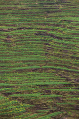 Obraz premium Huangling