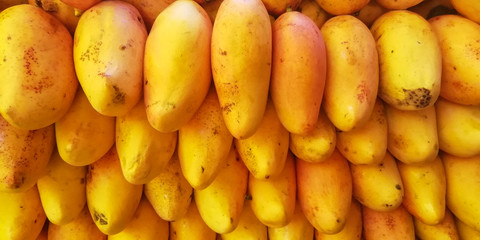 pile stack of fresh isolated mangoes