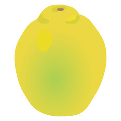 Fototapeta premium カリン