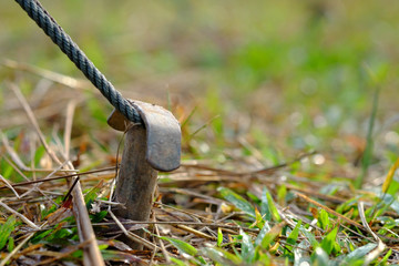 nature landscape anchor land on camping tent with green rope and green grass in jungle or forest for trekking picnic on holiday relax and vacation travel on autumn winter or summer.
