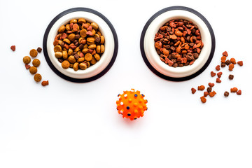 Cat and dog food in bowl on white background top view copy space