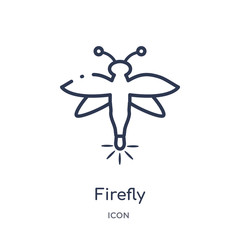 firefly icon from summer outline collection. Thin line firefly icon isolated on white background.