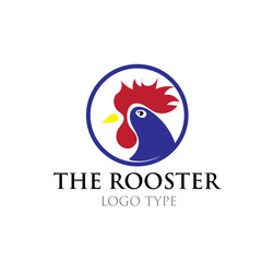 Fototapeta premium chicken logo designs