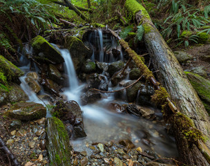 tiny waterfall in forest
