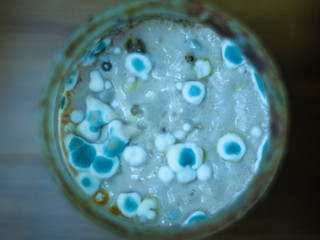 blue mold in a jar is full of micro and microorganisms that are developing rapidly and infecting...