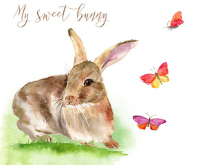 My sweet bunny. Watercolor spring rabbit illustration. Rabbit and flowers and butterflies. For your unique design, cards, posters, invitations, books, fabrics and other