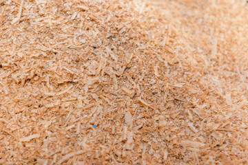 Background sawdust. Sawdust close up. Wood shavings. Tree structure