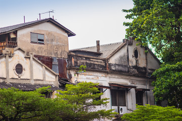 Old abandoned houses with trees in Chinatown, Bangkok, Thailand.