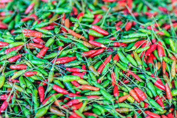 Organic red and green bird's eye chili, bird eye chili, bird's chili, chile de arbol, or Thai chili is a chili pepper, a cultivar from the species Capsicum annuum, commonly found in Southeast Asia.