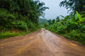 Muddy road