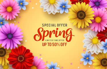 Fototapeta na wymiar Spring special offer vector banner background with spring season sale text and colorful chrysanthemum and daisy flowers elements in yellow background. Vector illustration.