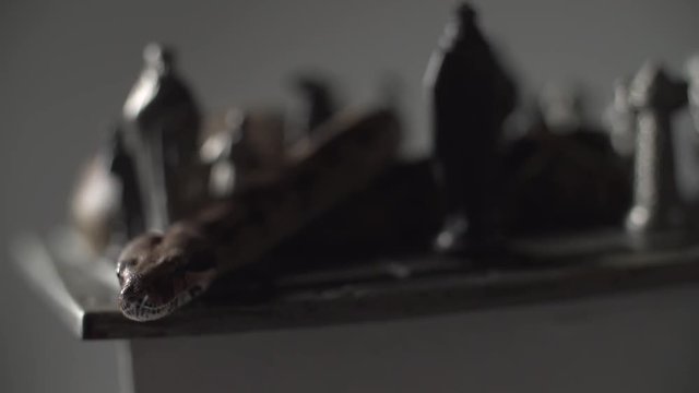 Close shot of Snake crawling through an iron chess board. Super slow motion