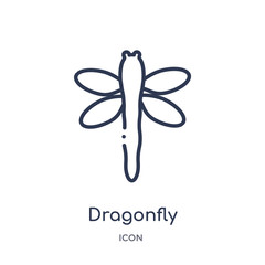 dragonfly icon from season outline collection. Thin line dragonfly icon isolated on white background.
