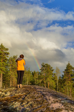 rainbow in the forest