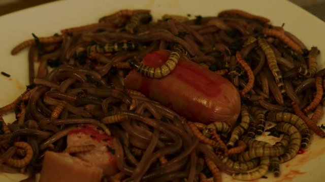 Creepy halloween Horror series. Terrifying Bloody Worm Spaghetti. Lights flickering